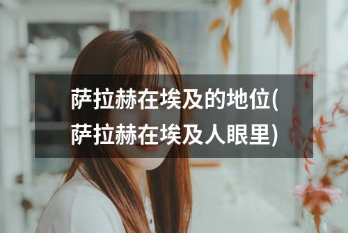 萨拉赫在埃及的地位(萨拉赫在埃及人眼里)