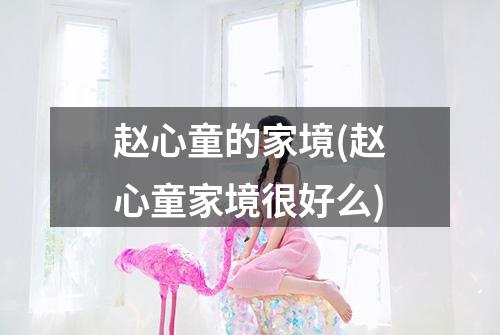 赵心童的家境(赵心童家境很好么)