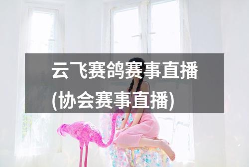 云飞赛鸽赛事直播(协会赛事直播)